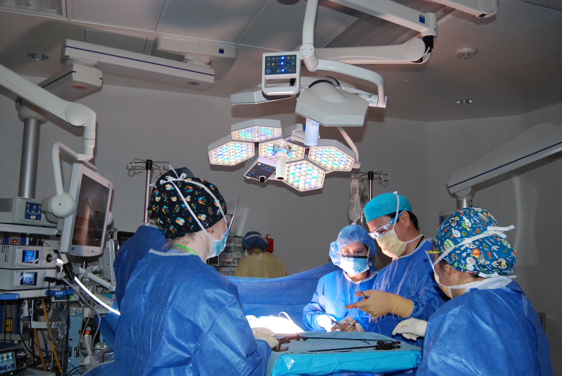 home health care programs are distinguished by